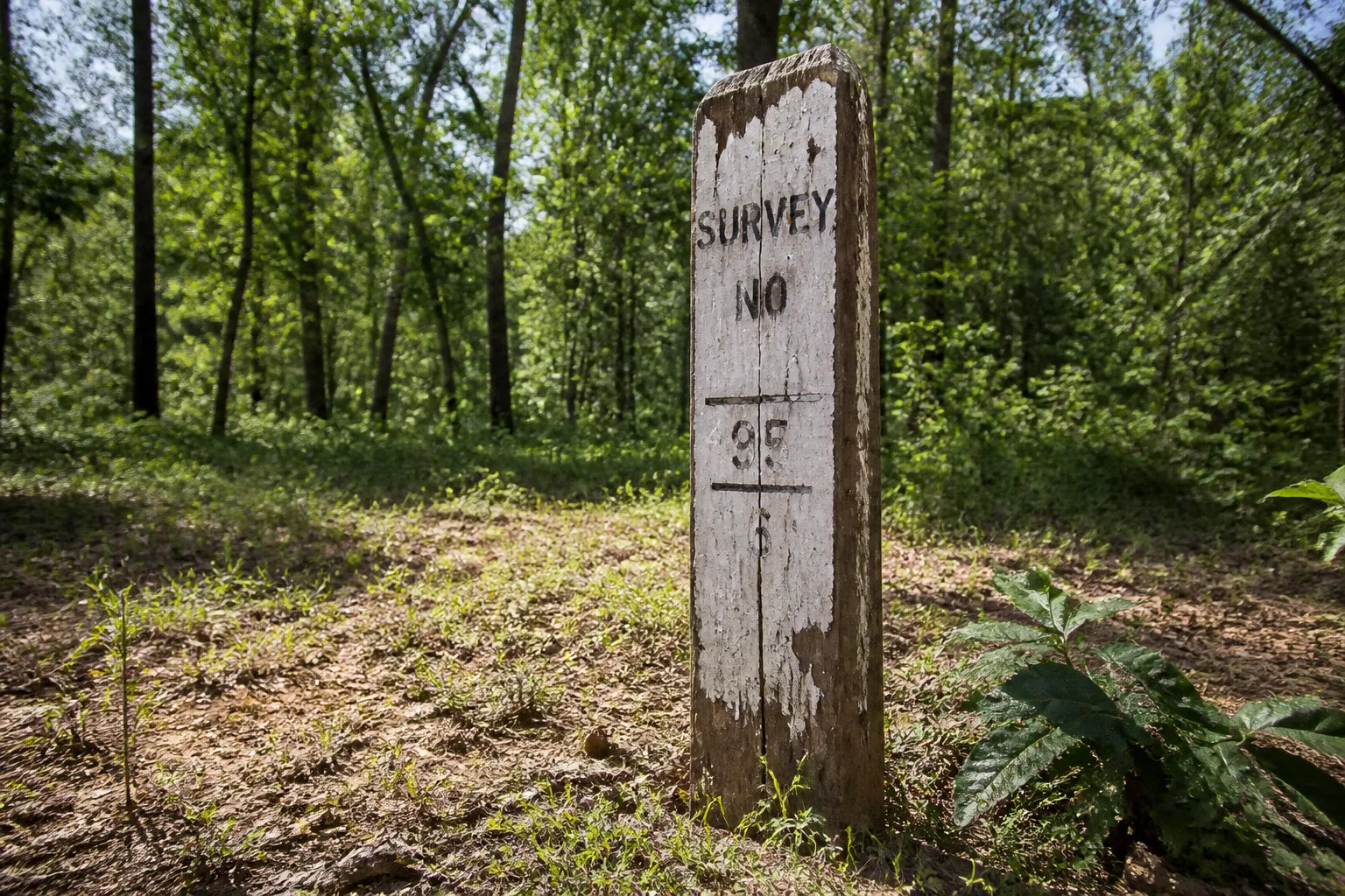 Are NGOs Allowed to Buy Land in Scheduled Areas?