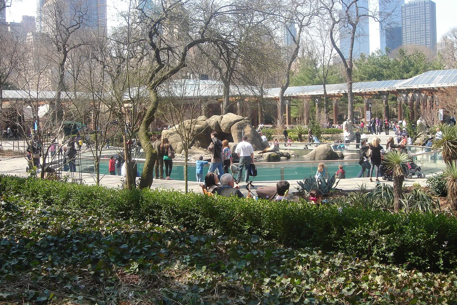 Central Park Zoo tickets: which booking option fits you?