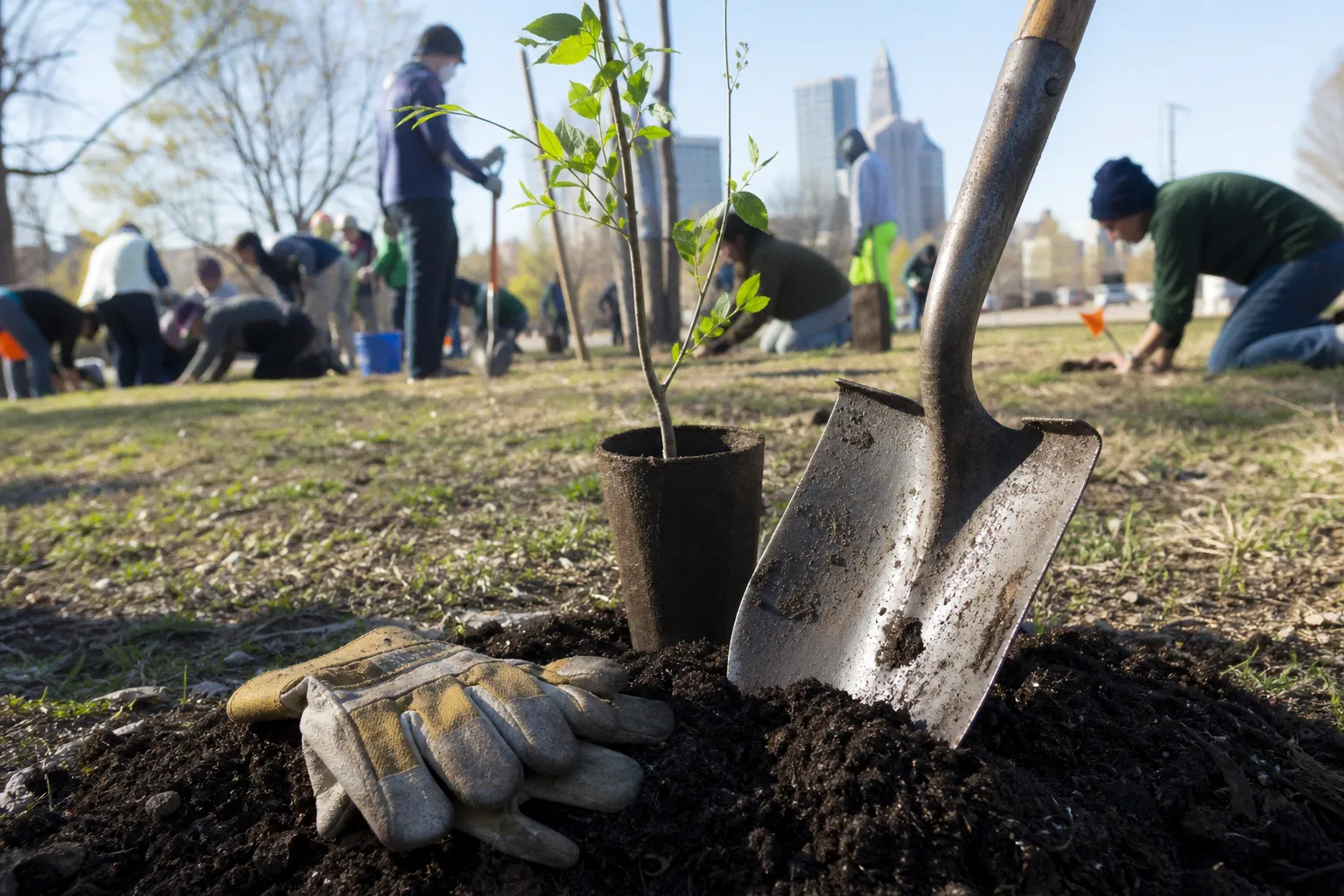 Community tree planting events: essential preparation and equipment checklist