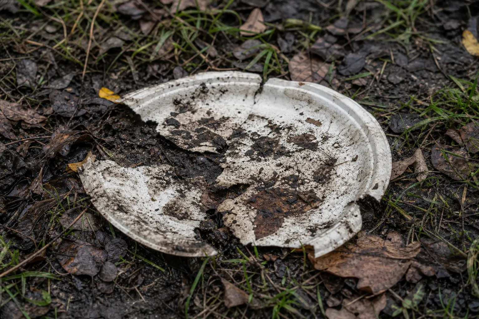 Compostable vs biodegradable: waste traps in green events