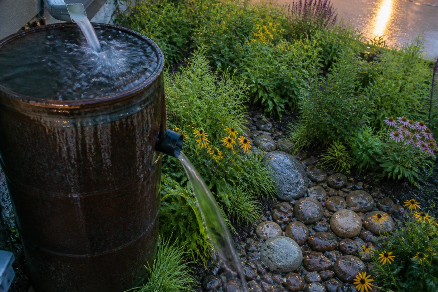 Rain barrels vs rain gardens for community runoff