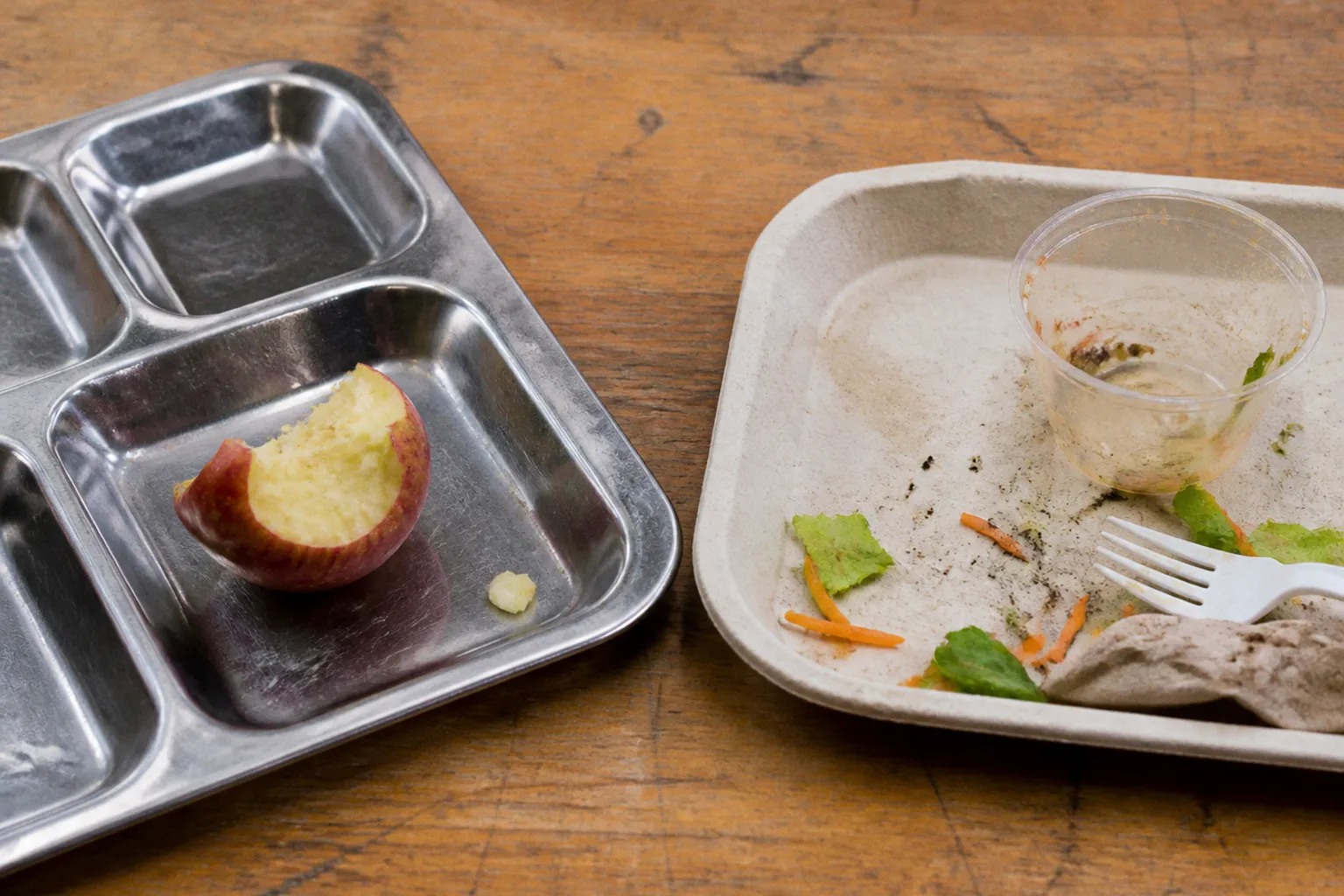 Reusable containers vs compostables for school waste