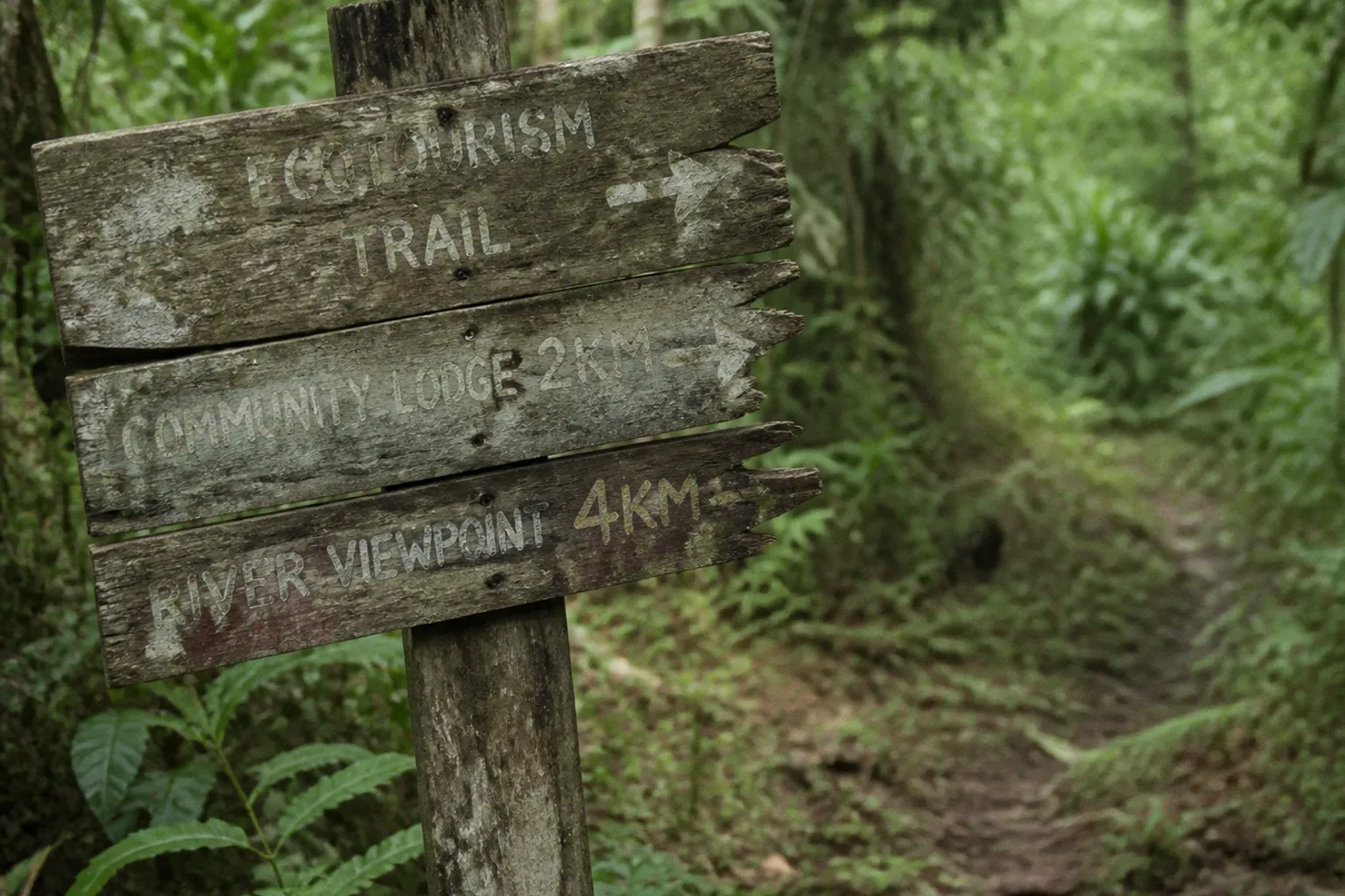 Tribal ecotourism: planning traps that waste funding