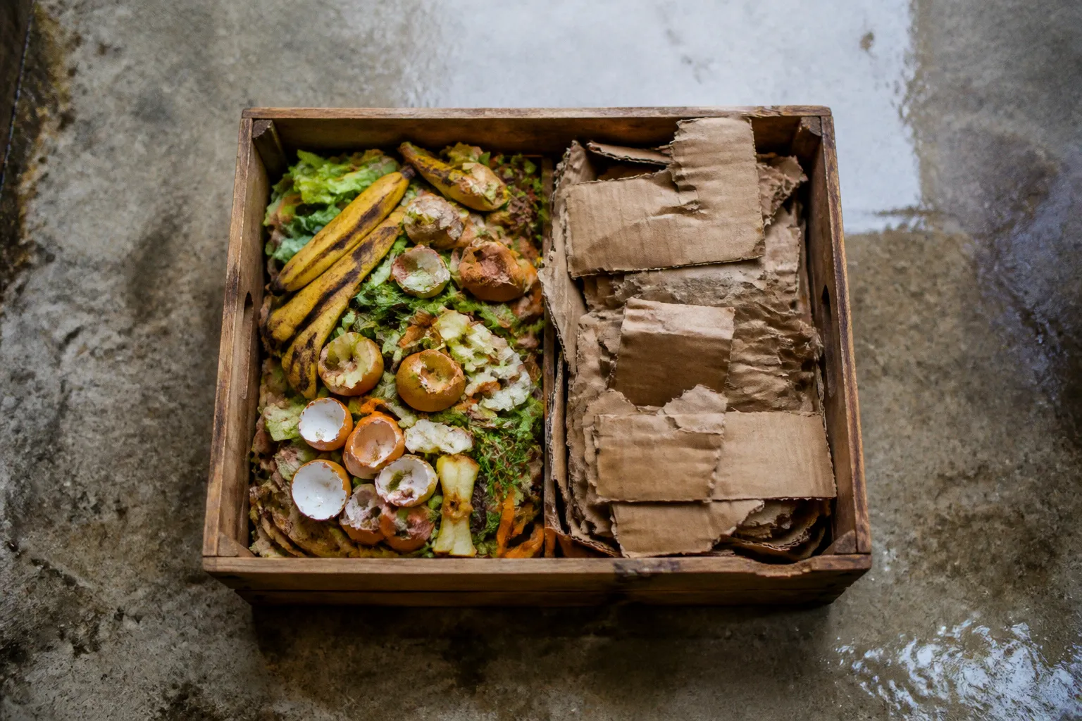 Waste reduction programs: essential steps before you launch